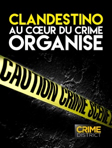 Crime District - Clandestino : au cœur du crime organisé