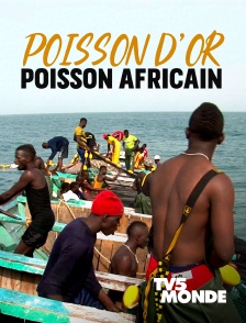 TV5MONDE - Poisson d’or, poisson africain