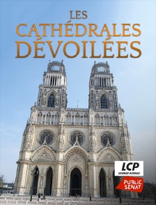 LCP Public Sénat - Les cathédrales dévoilées