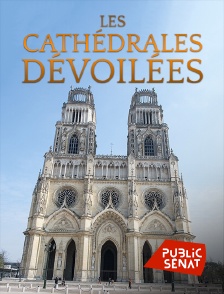 Public Sénat - Les cathédrales dévoilées