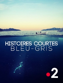 France 2 - Histoires courtes : Bleu-gris