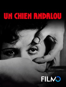 FilmoTV - Un chien andalou