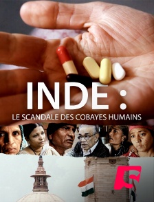 Spicee - Inde : le scandale des cobayes humains