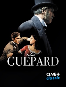 CINE+ Classic - Le guépard