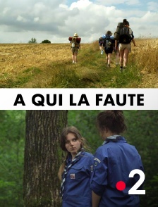 France 2 - A qui la faute