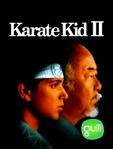 Gulli - Karate Kid : le moment de vérité II