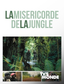 TV5MONDE - La miséricorde de la jungle