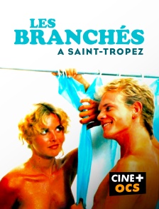 CINÉ Cinéma - Les branchés à Saint-Tropez