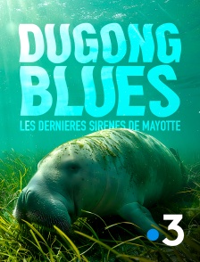 France 3 - Dugong blues, les dernières sirènes de Mayotte