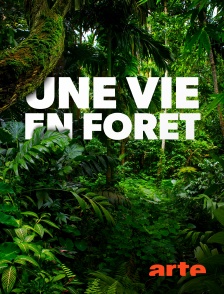 Arte - Une vie en forêt