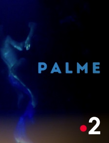 France 2 - Palme