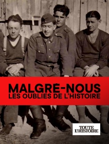 Toute l'Histoire - Malgré-nous, les oubliés de l'histoire