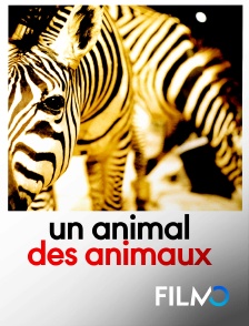 FilmoTV - Un animal, des animaux