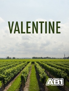 AB 1 - Valentine