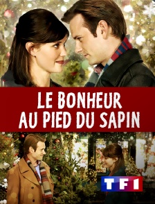 TF1 - Le bonheur au pied du sapin