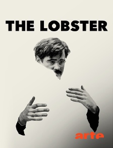 Arte - The Lobster