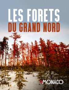 TV Monaco - Les forêts du Grand Nord