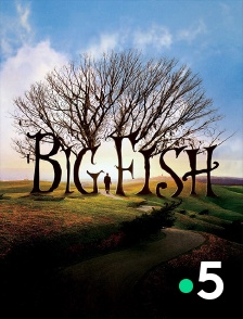 France 5 - Big Fish