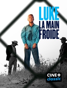 CINE+ Classic - Luke la main froide