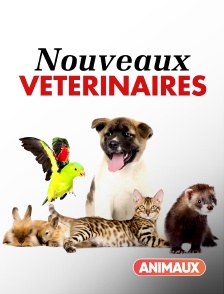 Animaux - Nouveaux vétérinaires