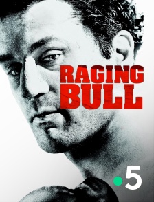 France 5 - Raging bull