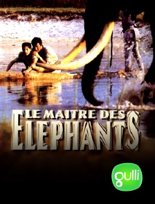 Gulli - Le maître des éléphants