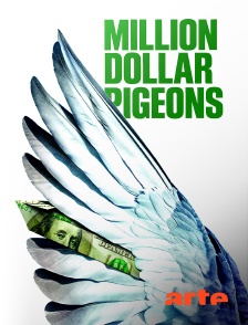 Arte - Million Dollar Pigeons