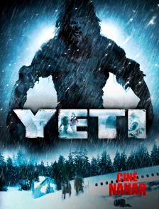 Ciné Nanar - Yeti