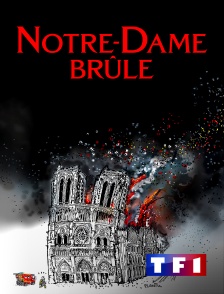 TF1 - Notre-Dame brûle