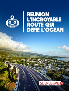 Science et Vie TV - Réunion : l'incroyable route qui défie l'océan