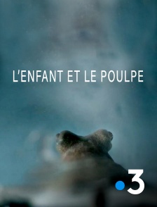 France 3 - L'enfant et le poulpe