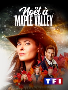 TF1 - Noël à Maple Valley