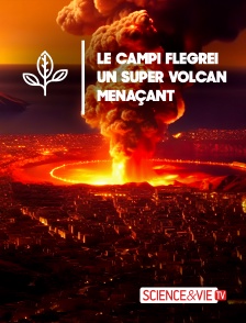 Science et Vie TV - Le Campi Flegrei, un super volcan menaçant