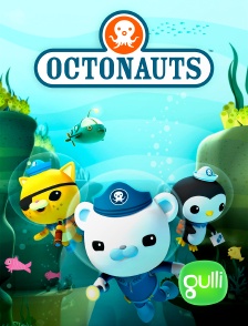 Gulli - Les Octonauts