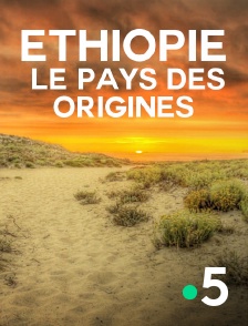 France 5 - Ethiopie, le pays des origines