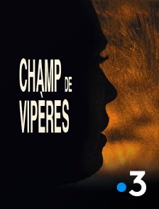 France 3 - Champ de vipères