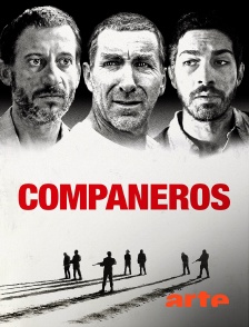 Arte - Compañeros