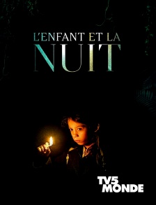 TV5MONDE - L'enfant et la nuit