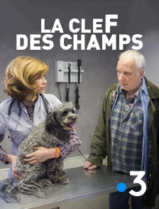 France 3 - La clef des champs