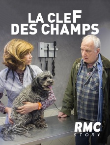 RMC Story - La clef des champs