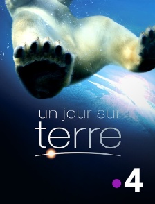 France 4 - Un jour sur terre