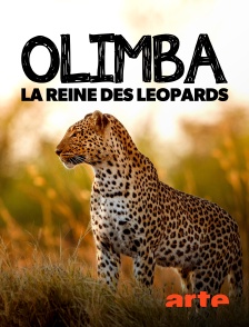 Arte - Olimba, la reine des léopards