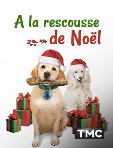 TMC - A la rescousse de Noël