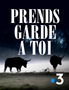 France 3 - Prends garde a toi