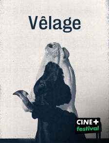 CINE+ Festival - Vêlage