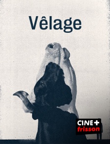 CINE+ Frisson - Vêlage