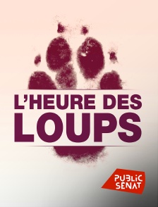 Public Sénat - L'heure des loups