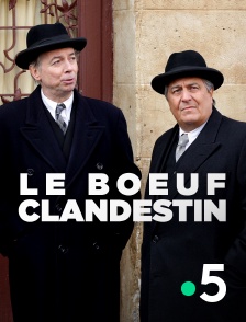 France 5 - Le boeuf clandestin