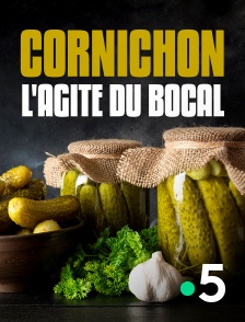 France 5 - Cornichon, l'agité du bocal