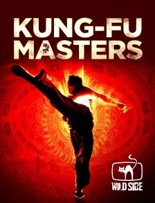 Wild Side TV - Kung-Fu Masters